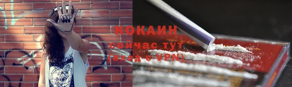 дмт Каменногорск