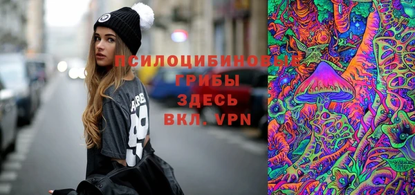 МДМА Каменка