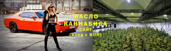 дмт Каменногорск