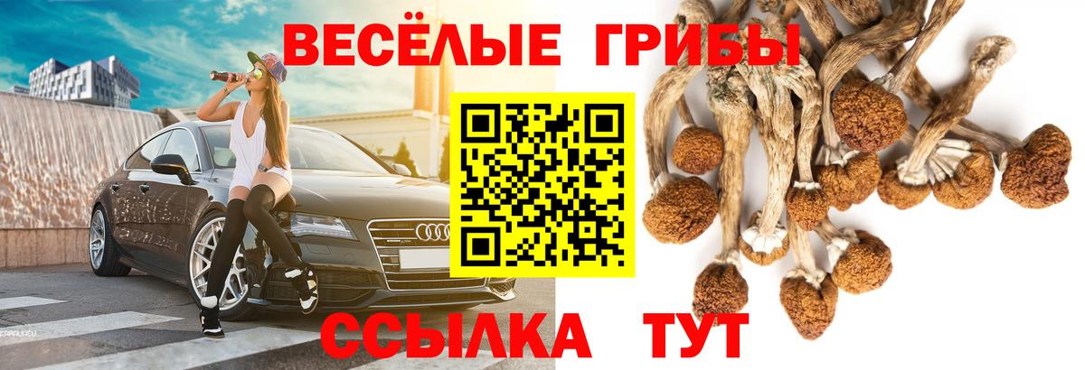 Галлюциногенные грибы Magic Shrooms Магадан