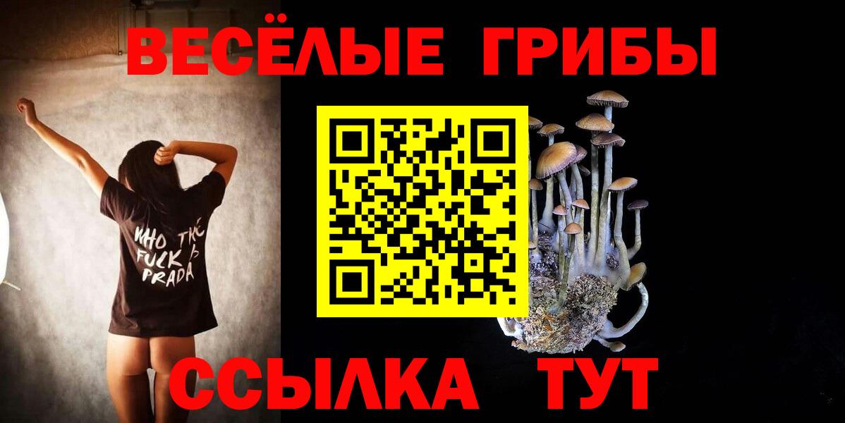Псилоцибиновые грибы MAGIC MUSHROOMS  Вход с VPN  Магадан  Псилоцибиновые грибы Psilocybe 
